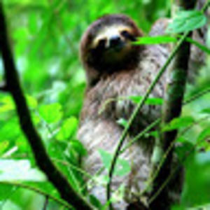 Meet your Posher, Eleanor